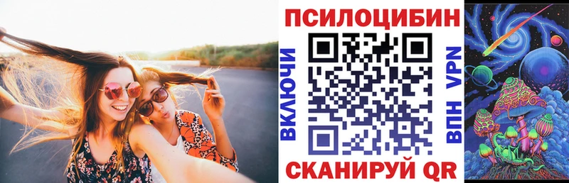 kraken рабочий сайт Южно-Сахалинск Галлюциногенные грибы Psilocybe